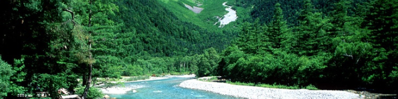 �e�l���[�^�@���܏��T�C�g